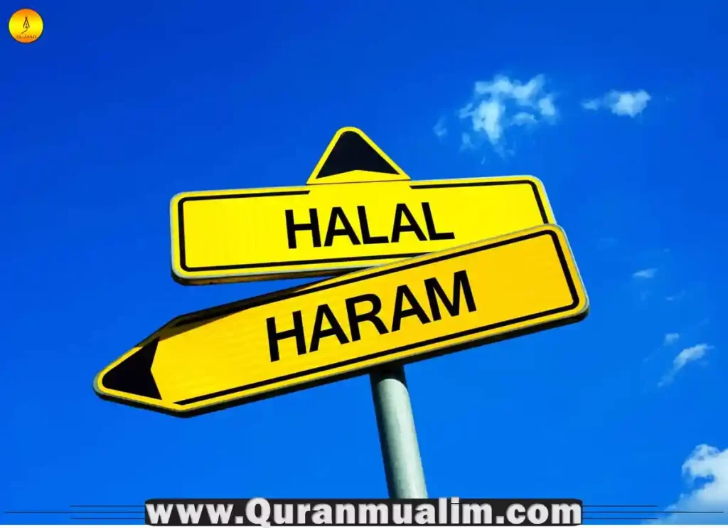 is forex trading halal, forex trading is haram or halal, is forex trading halal in islam, is forex trading halal mufti menk, is forex trading haram or halal