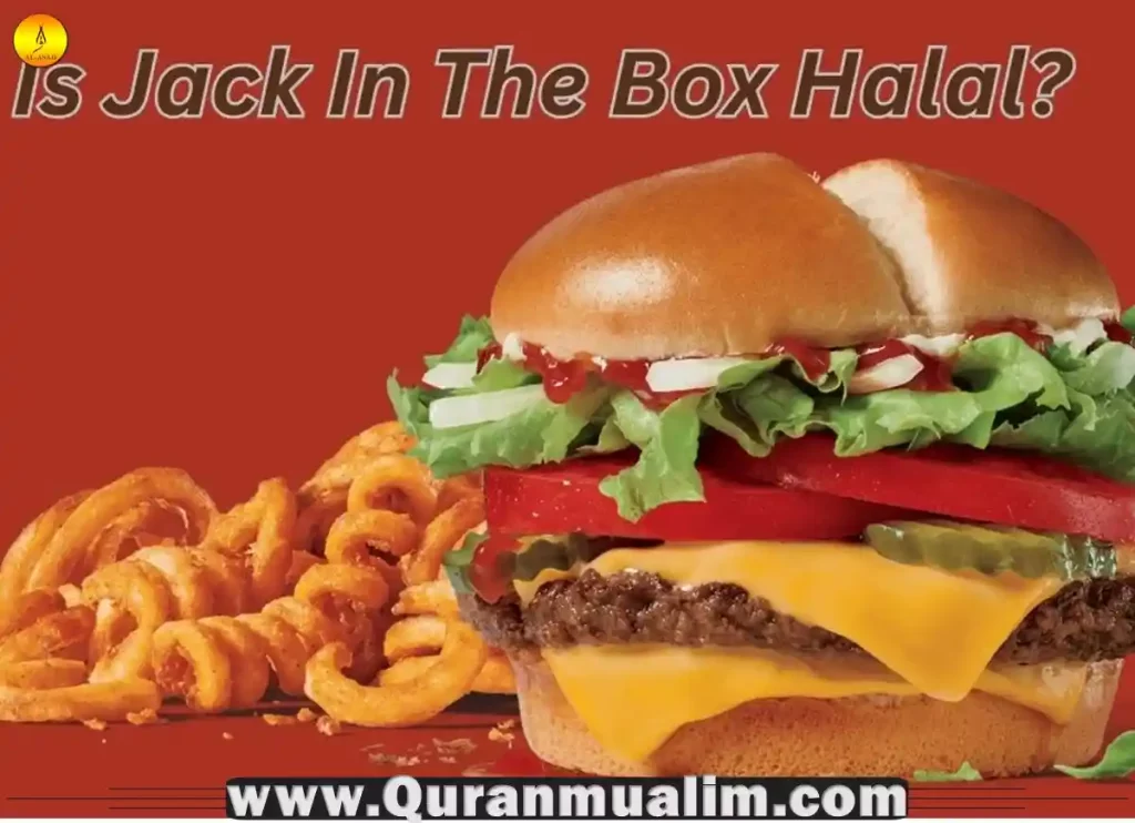 burgerim, burger im,burgerim gourmet burgers, i m burger, jack in the box snoop dogg ,are jack in the box tacos vegan, are jack in the box tacos vegetarian, do jack in the box tacos have meat, are jack in the box fries vegan, does jack in the box have vegan options