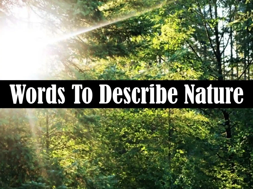 words to describe nature, words to describe nature beauty, describing words, adjectives words, beautiful words, 30 in words, beautiful scenery, description about nature, words to describe nature