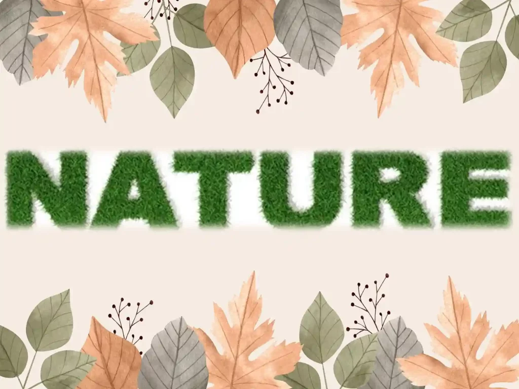 how to describe nature, adjectives for nature, unique words describing nature, words to describe beautiful scenery, beautiful nature words, nature adjectives, beautiful synonyms for nature, words about nature
