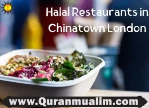 best restaurants in chinatown london, best chinese restaurant in chinatown london, restaurants in chinatown london uk, top restaurants in chinatown london, best restaurants in london chinatown