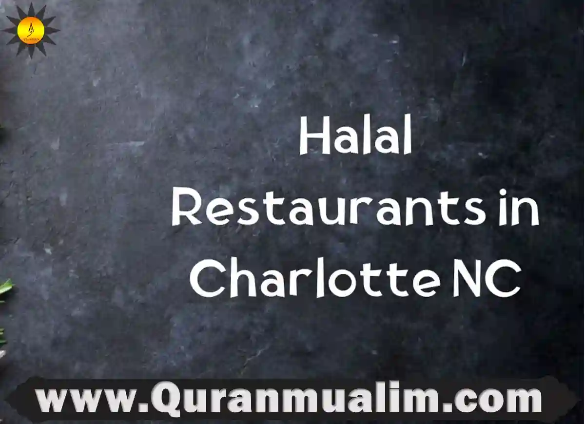 food places near me ,best restaurants near me, best food near me, food around me, good food near me, where's charlotte, must try food near me, where should i eat dinner tonight, where should i go for dinner, where to eat in charlotte nc