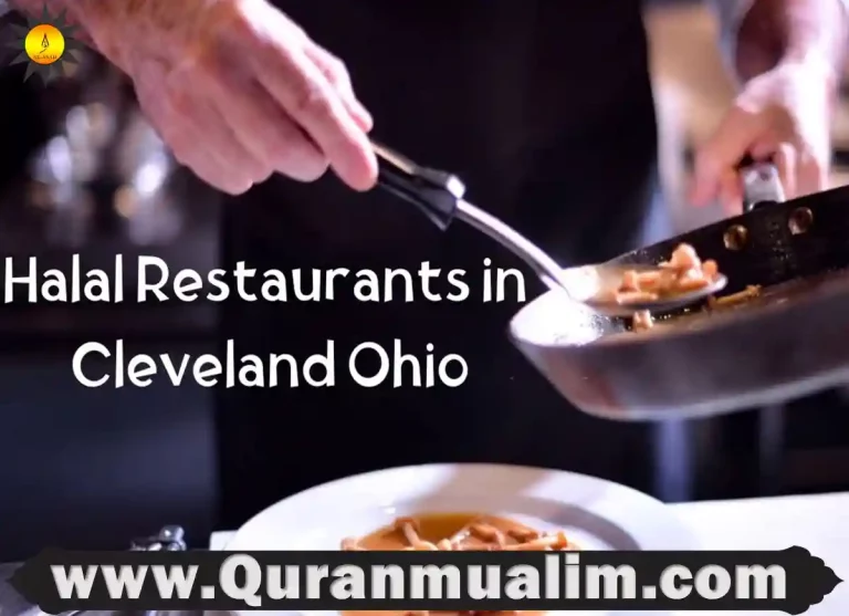 Halal Restaurants in Cleveland Ohio – USA, top rated restaurants near me, what food is cleveland known for, must eat places near me