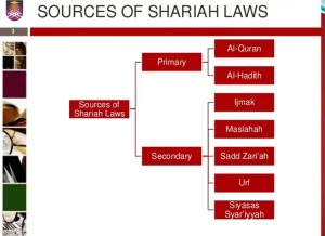 Unlocking Wisdom: Hadith as the Second Source of Islamic Law – A Comprehensive Exploration, News