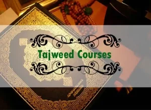 Perfect Your Recitation: Explore The Art Tajweed of Quran in Quranic Reading, Quran, House of Quran, Quran WBW, Root Words, Quran Chapters, Quran Juz, Quran Arabic Text