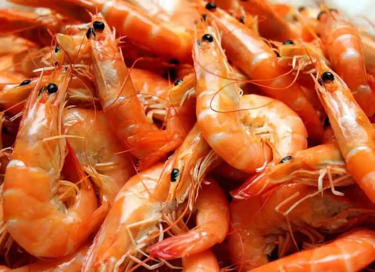 Is Shrimp Halal