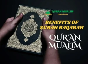 Benefits of Surah Baqarah For Protection, Surah Benefits, Quran Surahs, Quran Juz, Quran, Surah Baqarah