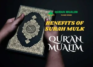 Benefits of Surah Mulk Recitation At Night, Surah Benefits, Quran Surahs, Quran Juz, Quran, Surah Mulk