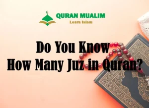 Do You Know How Many Juz in Quran?, Quran, Quran Surahs, Quran Juz, Holy Quran PDF, Quran Download