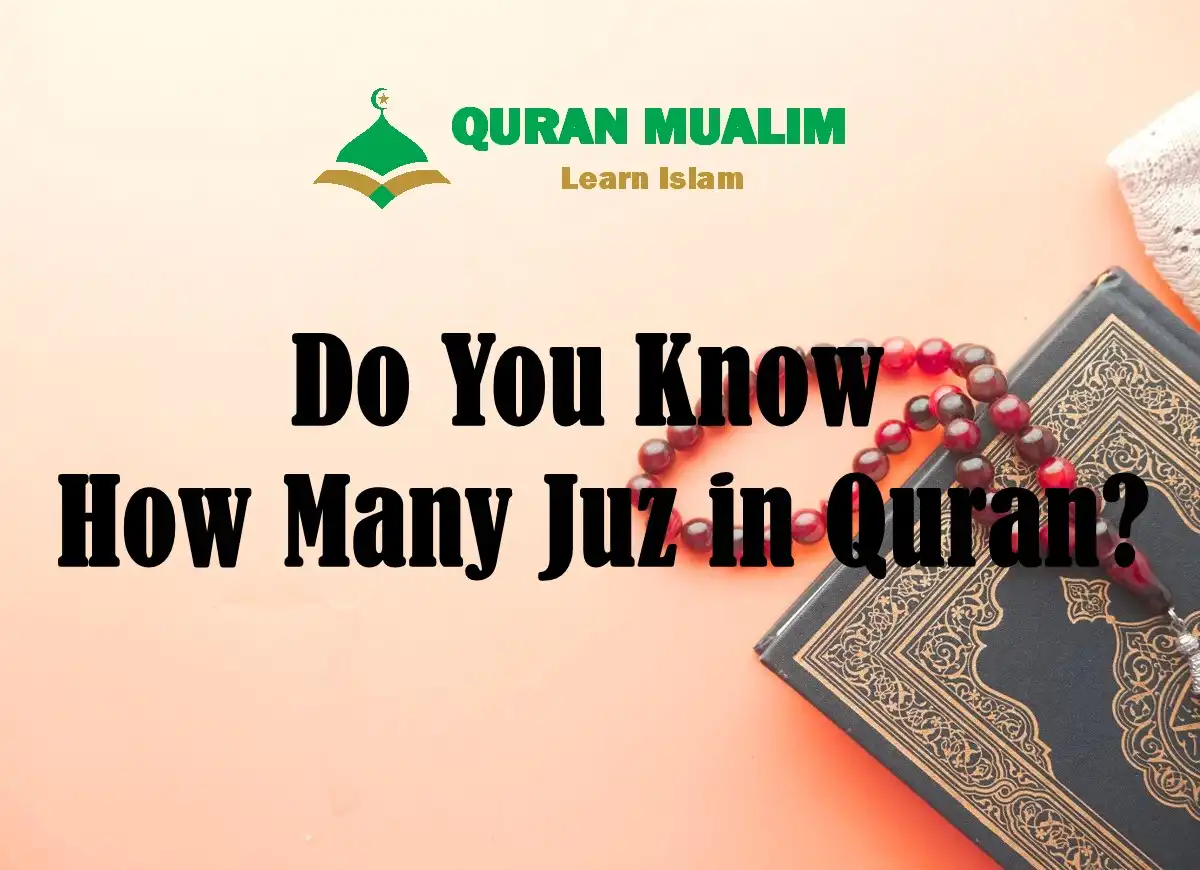 Do You Know How Many Juz in Quran?, Quran, Quran Surahs, Quran Juz, Holy Quran PDF, Quran Download