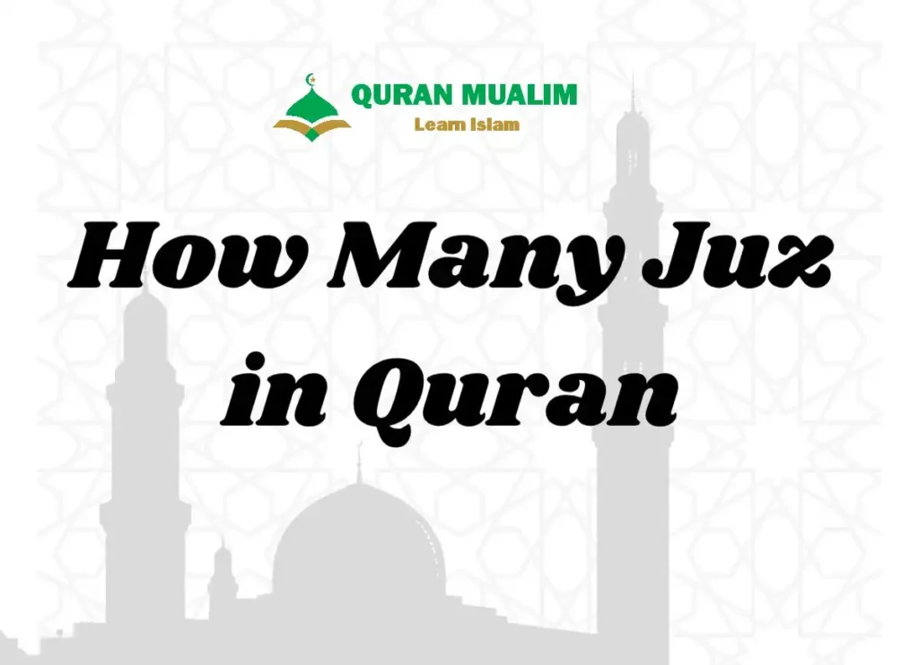 Do You Know How Many Juz in Quran?, Quran, Quran Surahs, Quran Juz, Holy Quran PDF, Quran Download