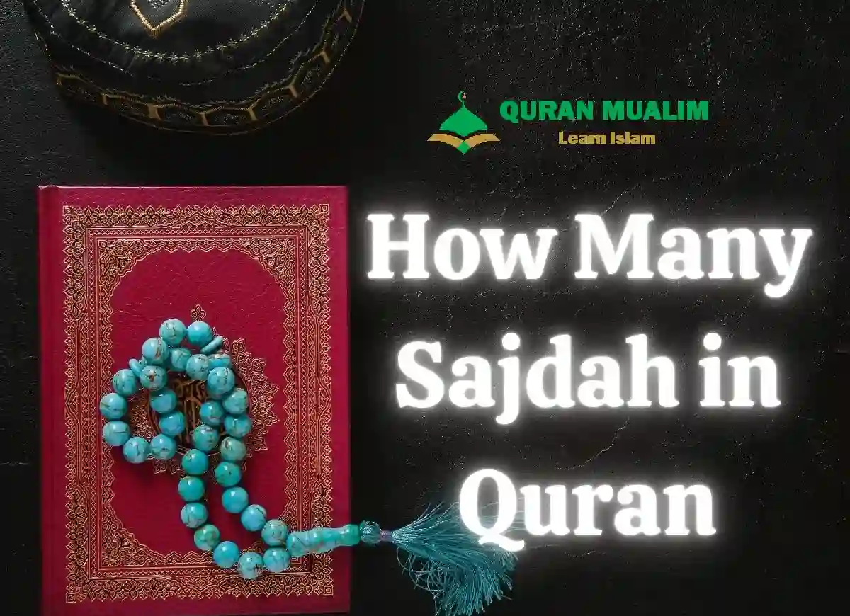 How Many Sajdah in Quran? Find Out! Quran, Quran Surahs, Quran Chapters, Quran Arabic Text, House of Quran