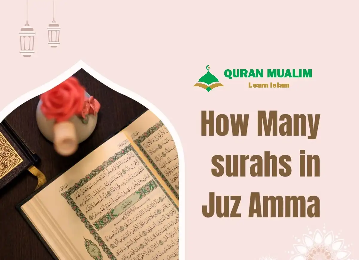 How Many Surahs in Juz Amma With Names List, Quran, Quran Surahs, Quran Juz, Quran Arabic Text, House of Quran
