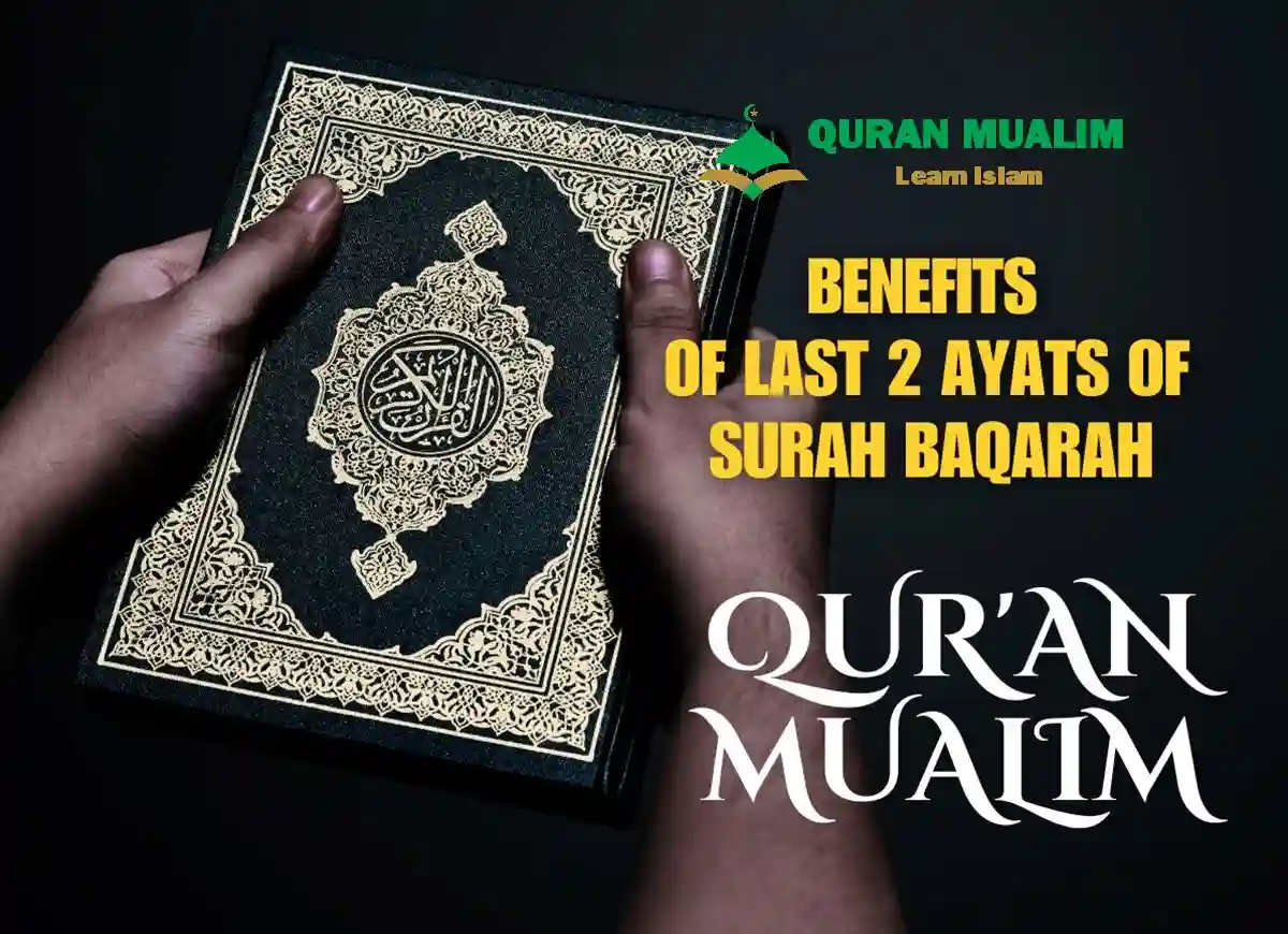 Powerful Benefits of Last 2 Ayats of Surah Baqarah, Surah Benefits, Quran Surahs, Quran Juz, Quran, Surah Baqarah