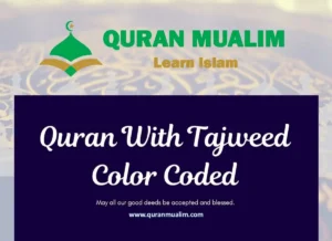 Quran With Tajweed Color Coded PDF Download, Quran, Quran WBW, Quran Tutor, Arabic, Root Words, Tajweed, Qaida, Noorani Qaida, Arabic Qaida, Arabic Alphabets, Arabic letters