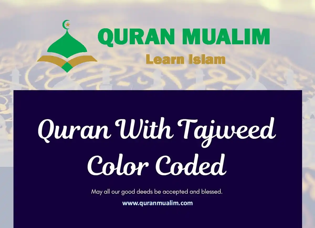Quran With Tajweed Color Coded PDF Download, Quran, Quran WBW, Quran Tutor, Arabic, Root Words, Tajweed, Qaida, Noorani Qaida, Arabic Qaida, Arabic Alphabets, Arabic letters