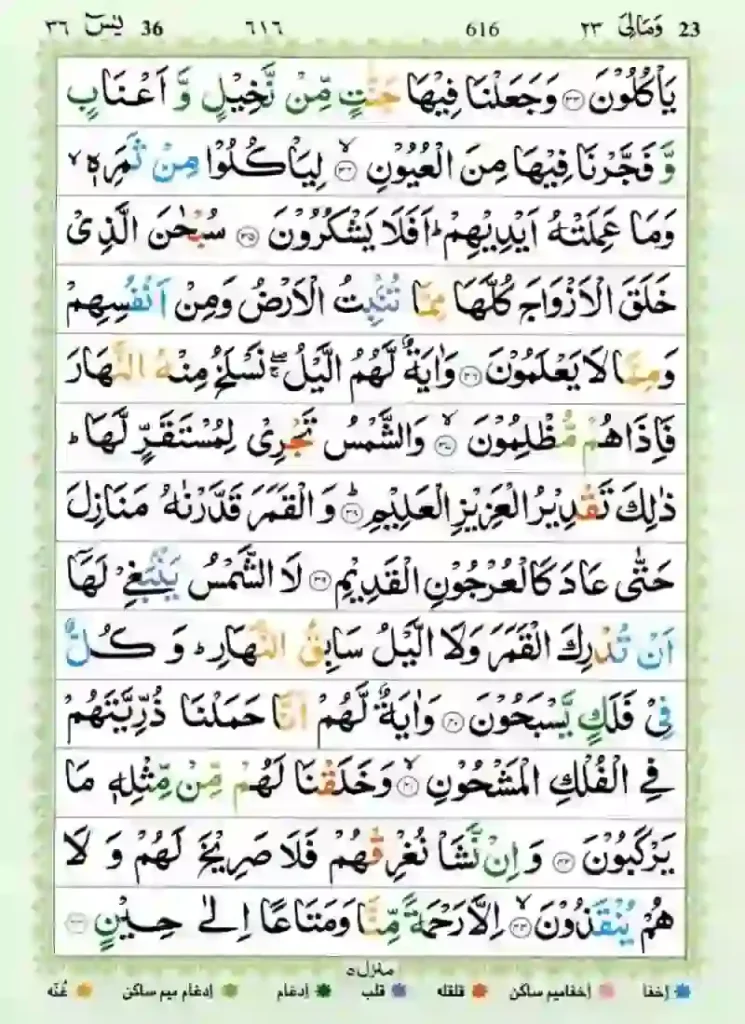 Surah Yaseen Full Online Read With Arabic Text, Quran Surahs, Quran Juz, Quran, Surah PDF, Surah Yaseen