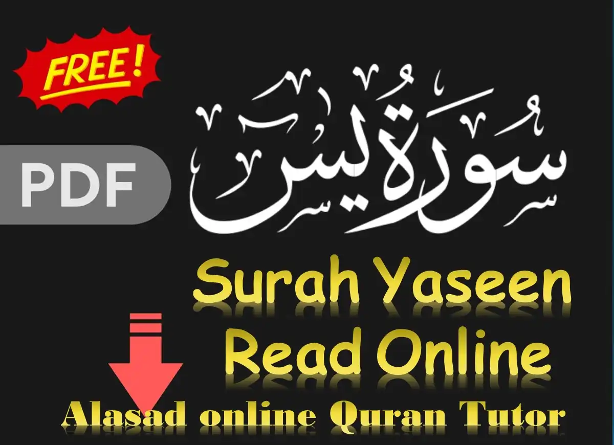 Surah Yaseen Read Online in Arabic & English, Quran, Quran juz, Quran Surahs, Surah PDF, Surah Yaseen