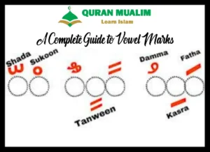 Arabic Harakat – A Complete Guide To Vowel Marks, Arabic, Arabic Phrases, Arabic Grammar, Vocabulary, Arabic vocabulary, Arabic Alphabet, Arabic Words, Arabic Tutor