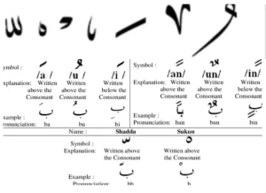 Arabic Language Vowels With Meanings and Examples , Arabic, Arabic Phrases, Arabic Grammar, Vocabulary, Arabic vocabulary, Arabic Alphabet, Arabic Words, Arabic Tutor