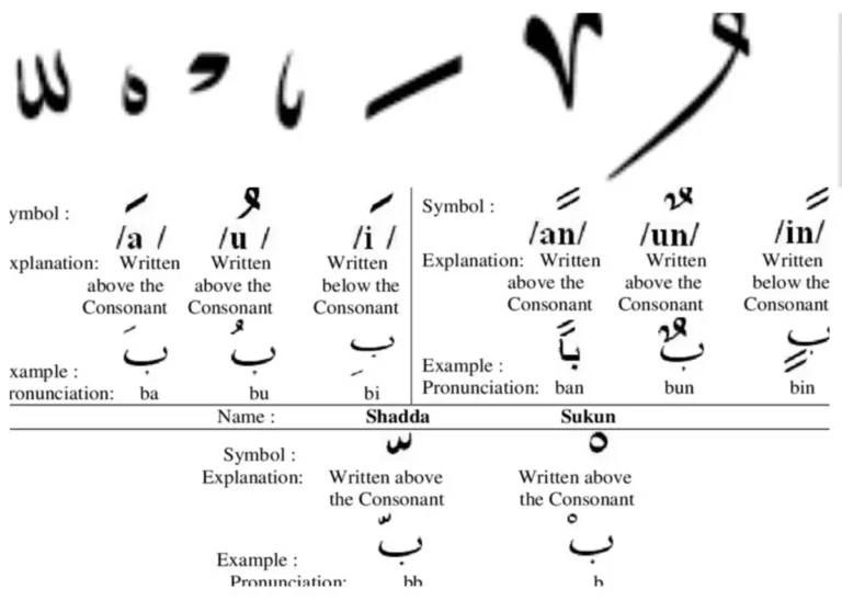 Arabic Language Vowels With Meanings and Examples , Arabic, Arabic Phrases, Arabic Grammar, Vocabulary, Arabic vocabulary, Arabic Alphabet, Arabic Words, Arabic Tutor