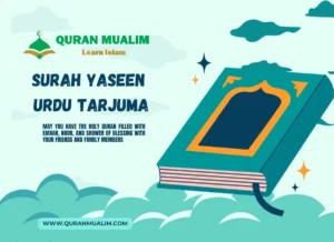 Surah Yaseen Urdu Tarjuma PDF Download, Quran Juz, Quran Surahs, Surah PDF, Surah Yaseen