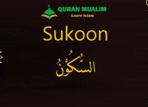What Is Sukoon in Arabic? Explained, Arabic, Arabic Alphabet, Arabic Grammar, Arabic Phrases, Arabic Tutor, Arabic vocabulary, Arabic Words, Vocabulary