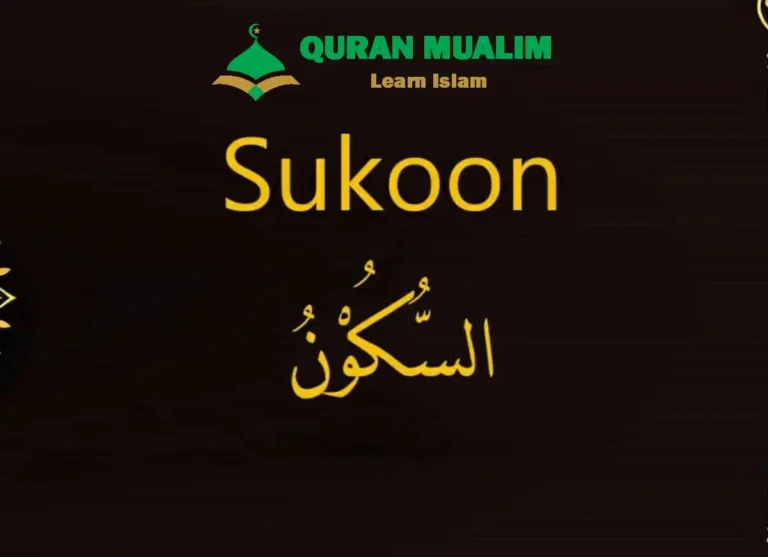 What Is Sukoon in Arabic? Explained, Arabic, Arabic Alphabet, Arabic Grammar, Arabic Phrases, Arabic Tutor, Arabic vocabulary, Arabic Words, Vocabulary
