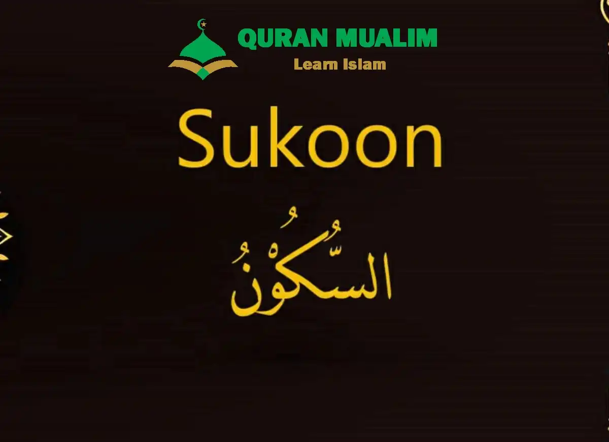What Is Sukoon in Arabic? Explained, Arabic, Arabic Alphabet, Arabic Grammar, Arabic Phrases, Arabic Tutor, Arabic vocabulary, Arabic Words, Vocabulary