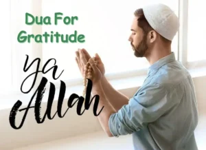Blessings of Thankfulness: Dua For Gratitude, Dua in Arabic, Beautiful Dua, Quranic Duain, Azkar