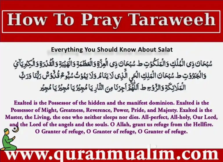 How To Pray Taraweeh Step By Step Properly? , Azkar, Beautiful Dua, Dua, Dua in Arabic, Quranic Duain, Supplications, Tarawih