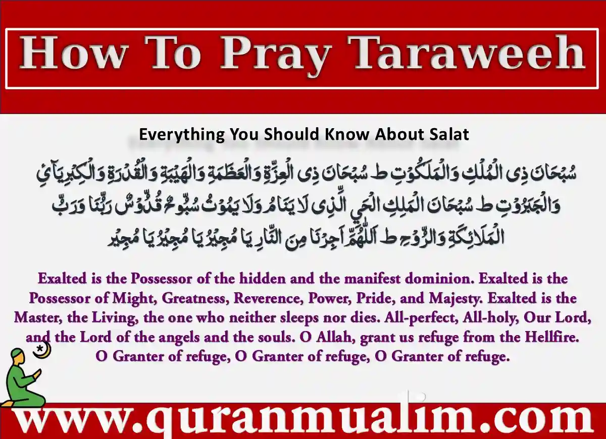 How To Pray Taraweeh Step By Step Properly? , Azkar, Beautiful Dua, Dua, Dua in Arabic, Quranic Duain, Supplications, Tarawih