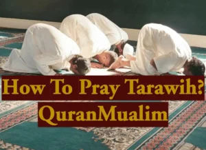 How To Pray Tarawih Step By Step Guide? Azkar, Beautiful Dua, Dua, Dua in Arabic, Quranic Duain, Supplications, Tarawih