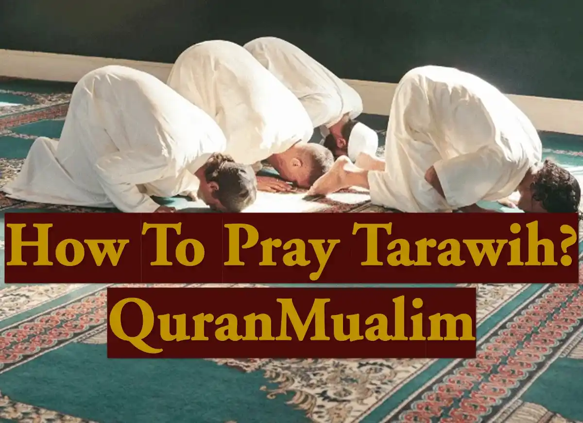 How To Pray Tarawih Step By Step Guide? Azkar, Beautiful Dua, Dua, Dua in Arabic, Quranic Duain, Supplications, Tarawih