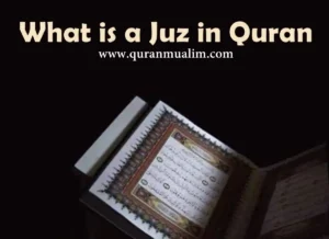 What is A Juz in Quran? Basic Information, Quran, Quran Teaching, Quran Tutor, Read Quran