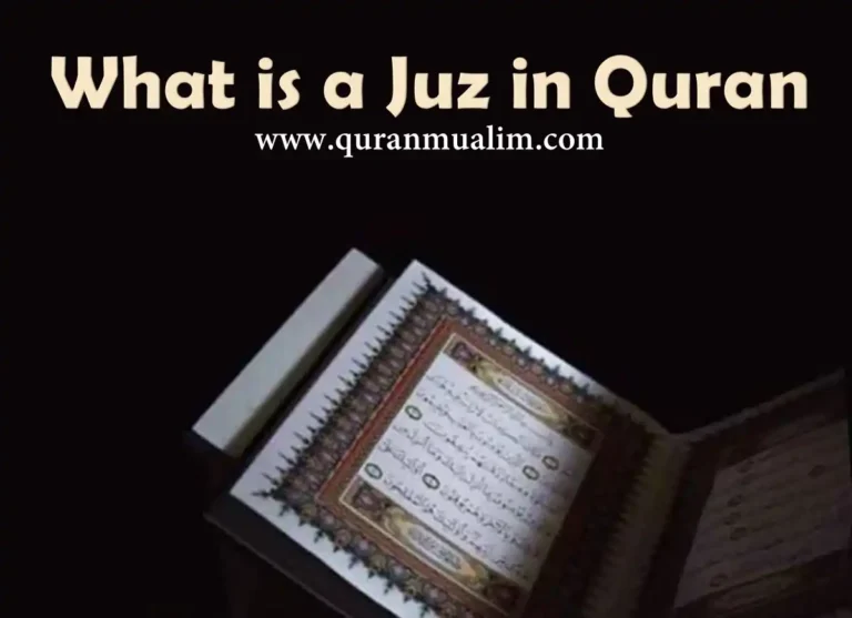 What is A Juz in Quran? Basic Information, Quran, Quran Teaching, Quran Tutor, Read Quran