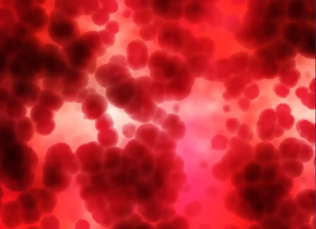 Dark Brown Menses Blood: What It Means For Your Prayers, Islam, Islamic Creed, Islamic Law, Quran, Sunnah