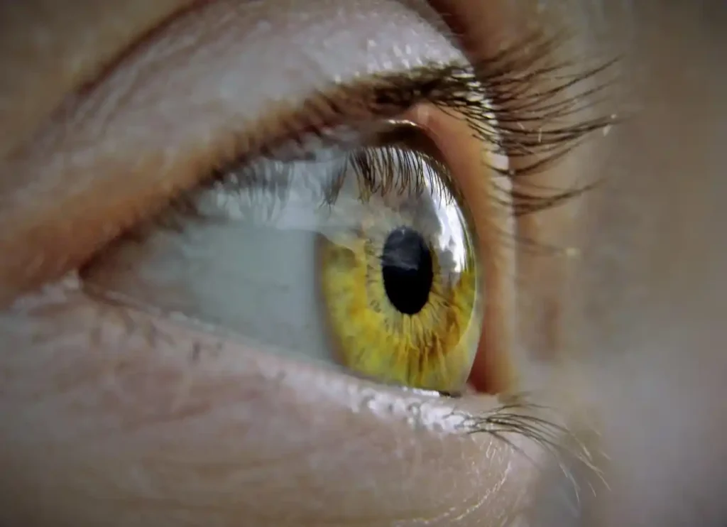 Lower Your Gaze: What It Really Means in Islam? , Islam, Islamic Creed, Islamic Law, Quran, Sunnah