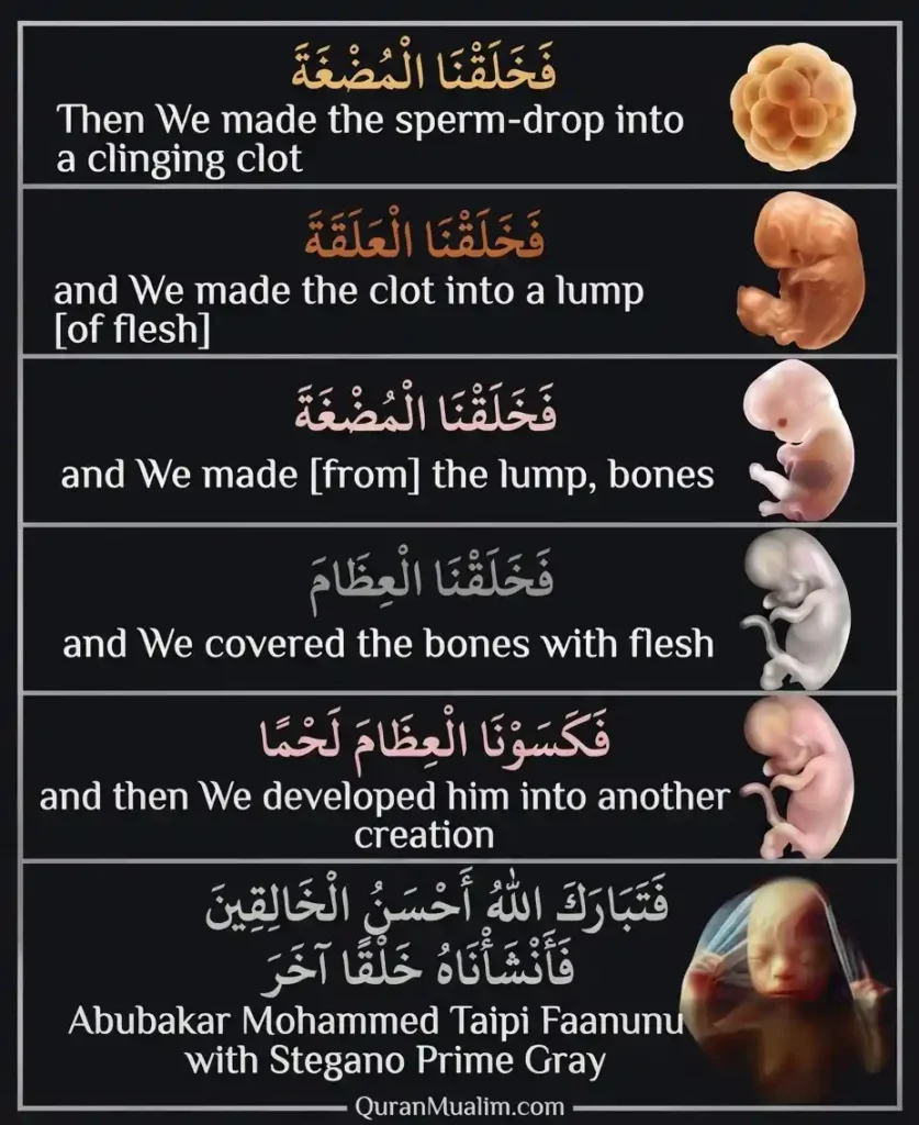 Surah Al-Mu’minun Transliteration and Translation, Holy Quran PDF, Quran, Quran Download, Quran Juz, Quran Surahs