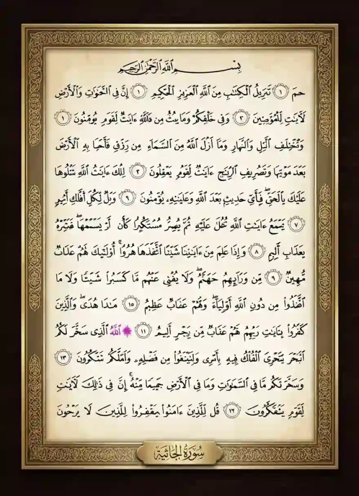Surah Jathiya Transliteration and Translation, Holy Quran PDF, Quran, Quran Download, Quran Juz, Quran Surahs