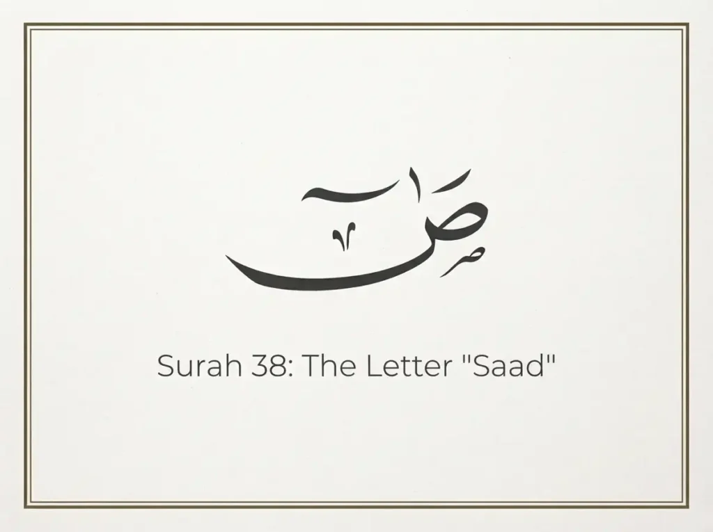 Surah Sad Transliteration and Translation , Holy Quran PDF, Quran, Quran Download, Quran Juz, Quran Surahs