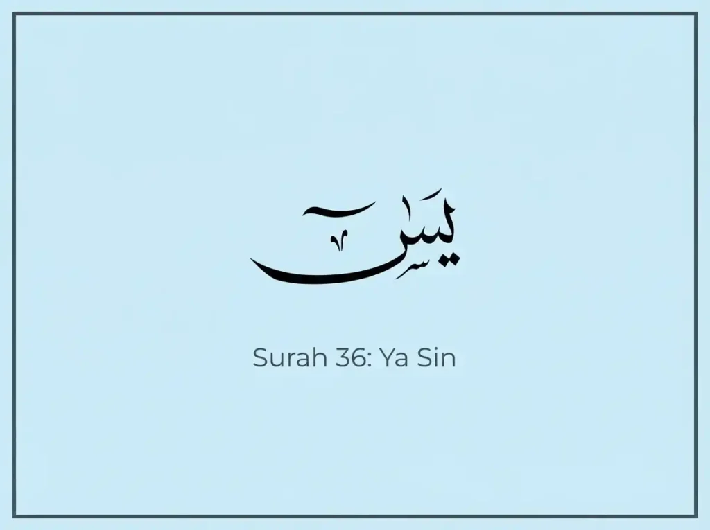 Surah Ya-Sin Transliteration and Translation, Holy Quran PDF, Quran, Quran Download, Quran Juz, Quran Surahs